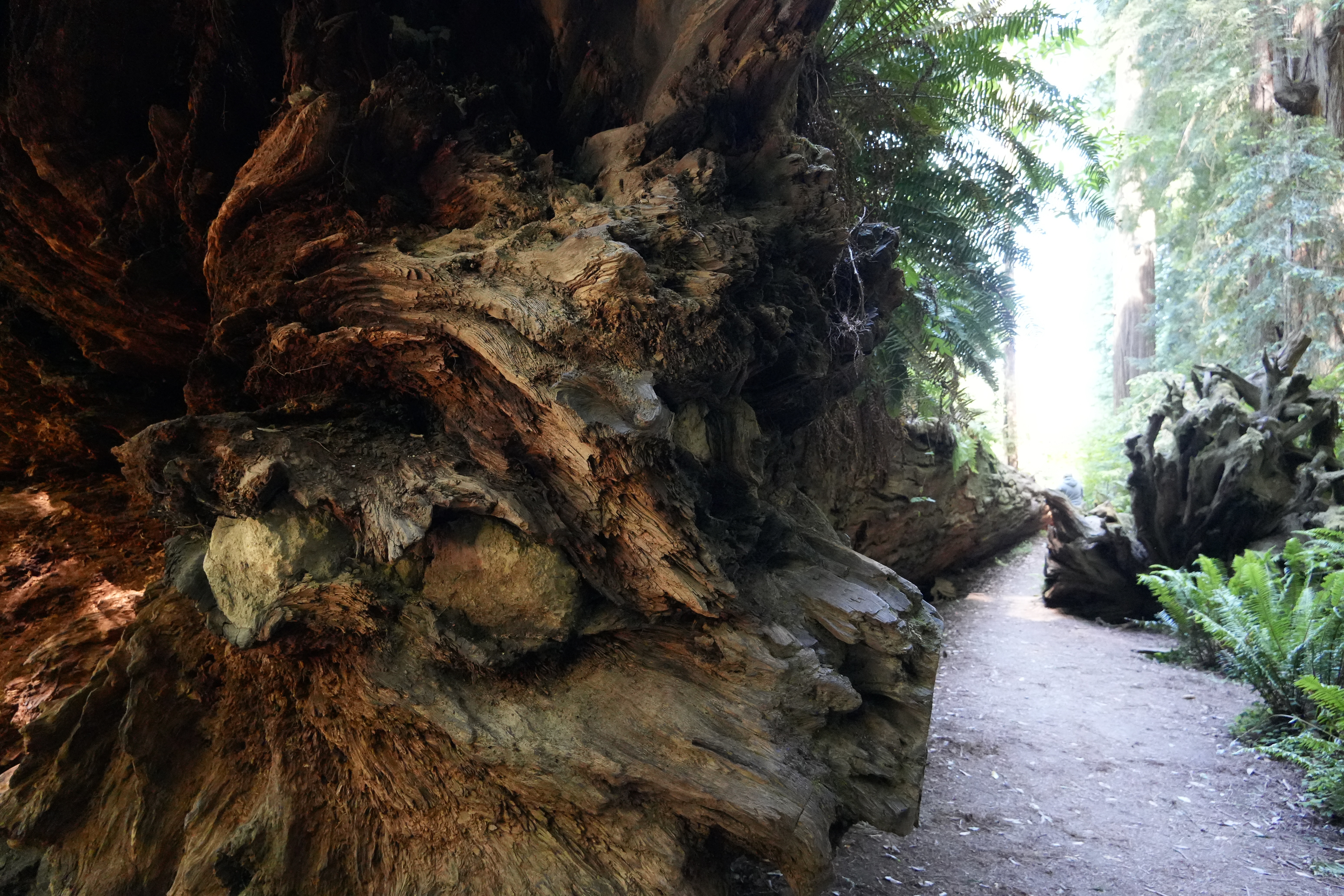 Travel Photo 16